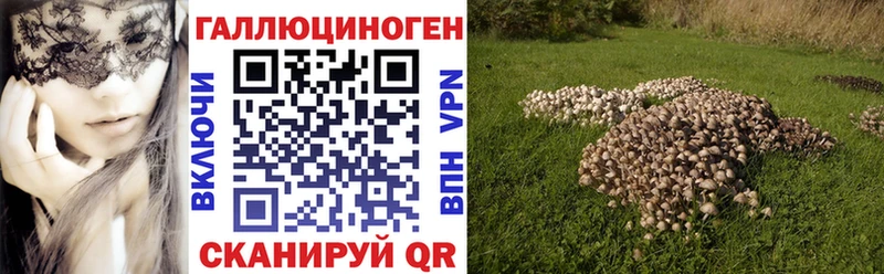 даркнет Telegram  Палласовка  Псилоцибиновые грибы Psilocybe  ссылка на мегу сайт 